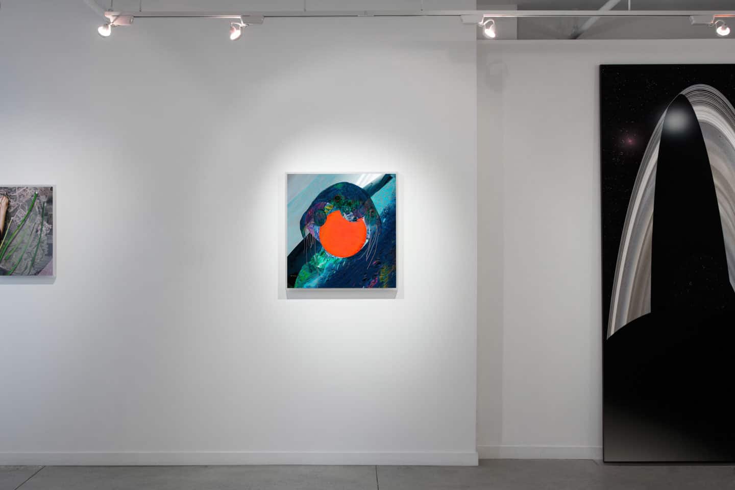 Alex Fischer, Jelly Portrait, 2013 install at Dry Pixels and Wet Molecules, O'Born Contemporary